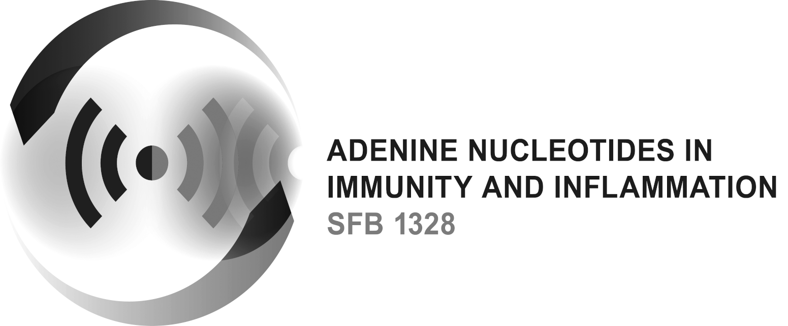 logo_SFB1328_grau.png