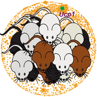 Eine Wissenschaftlerin und ein Wissenschaftler arbeiten hinter einer Glasfassade und mischen Chemikalien mit Großgeräten.